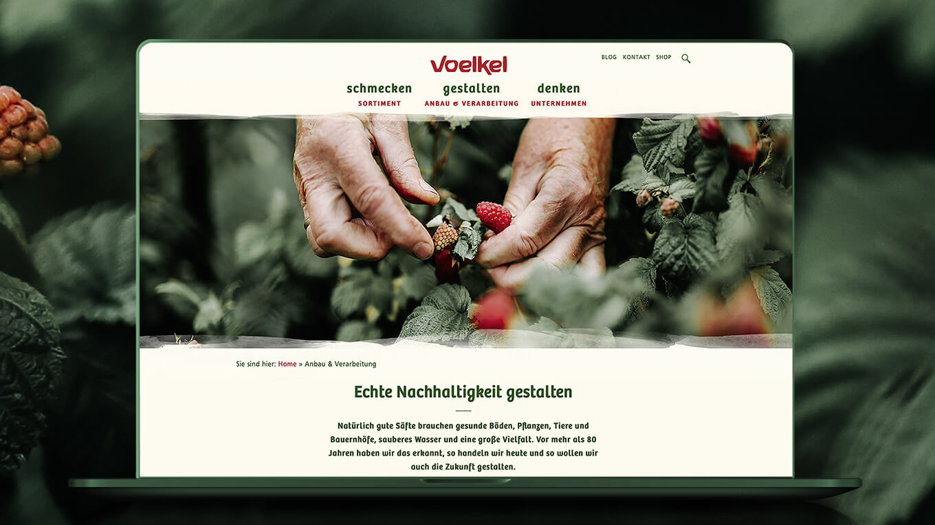 Voelkel Web Website