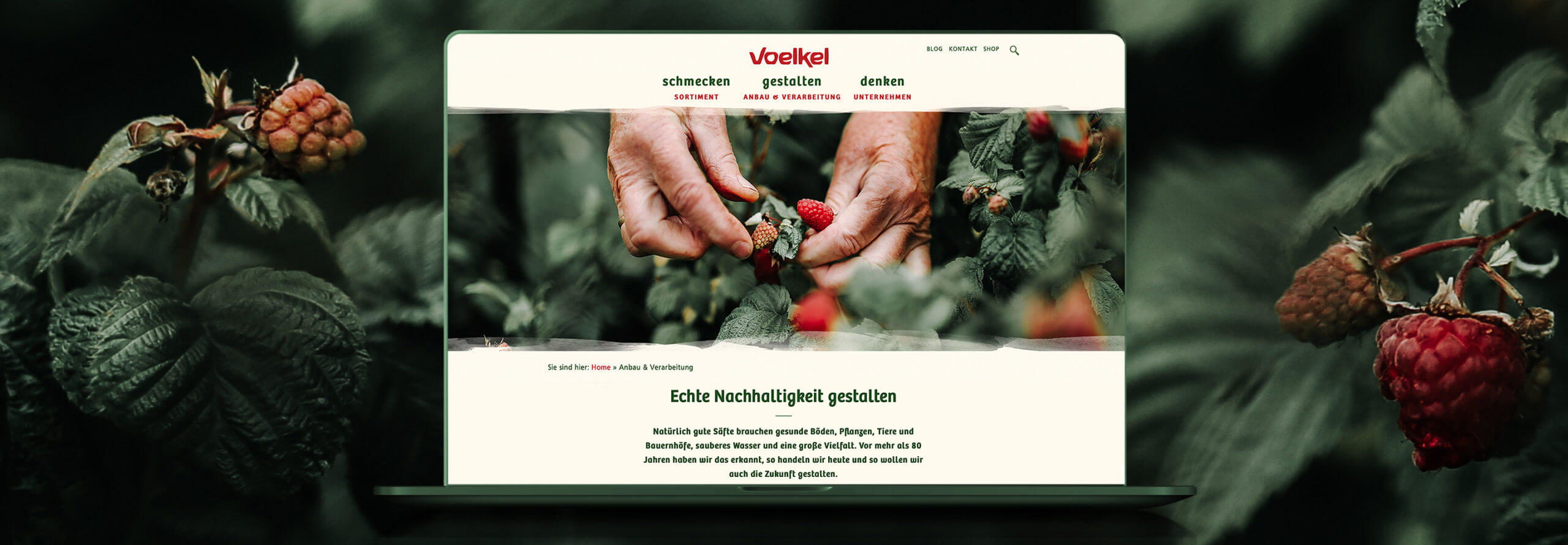 Voelkel_Naturkostsaefte_Website