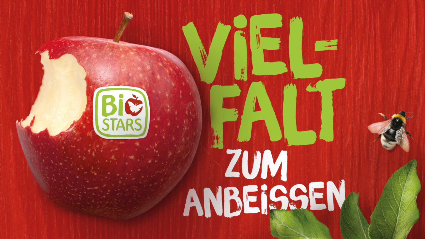 Bio Stars Markenentwicklung